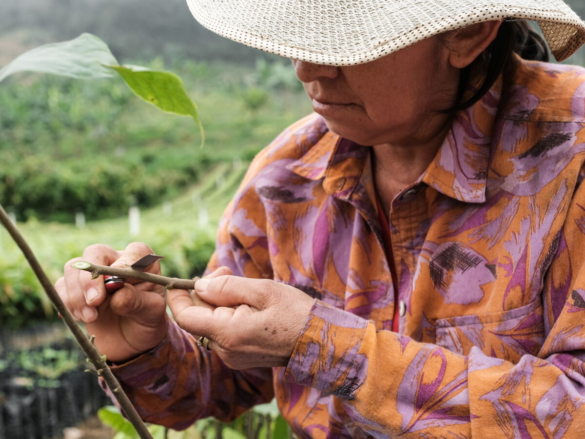 A woman is sharpening a branch.
